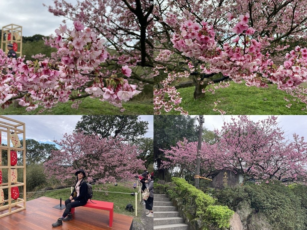 新北淡水｜搭公車去爬山｜半日健行路線｜天元宮賞櫻花-山仔頂登
