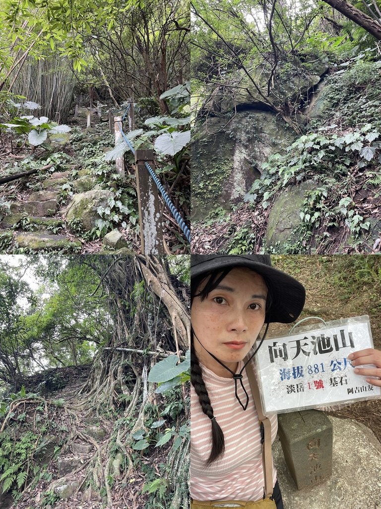 新北淡水｜搭公車去爬山｜半日健行路線｜天元宮賞櫻花-山仔頂登