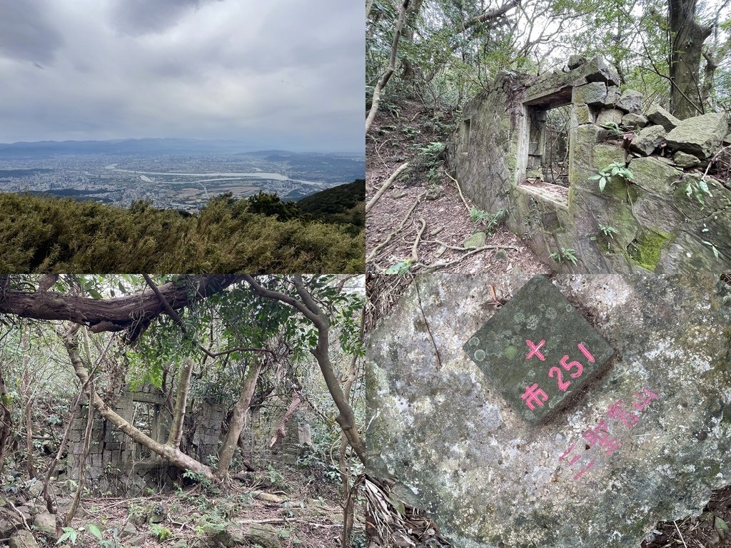 新北淡水｜搭公車去爬山｜半日健行路線｜天元宮賞櫻花-山仔頂登