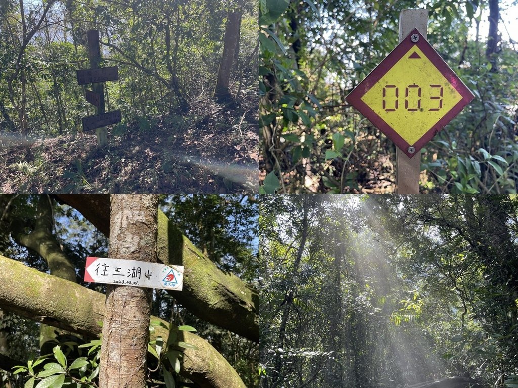 苗栗獅潭｜台灣百大步道｜鳴鳳古道＆獅潭天際線(義民廟-鳴古道