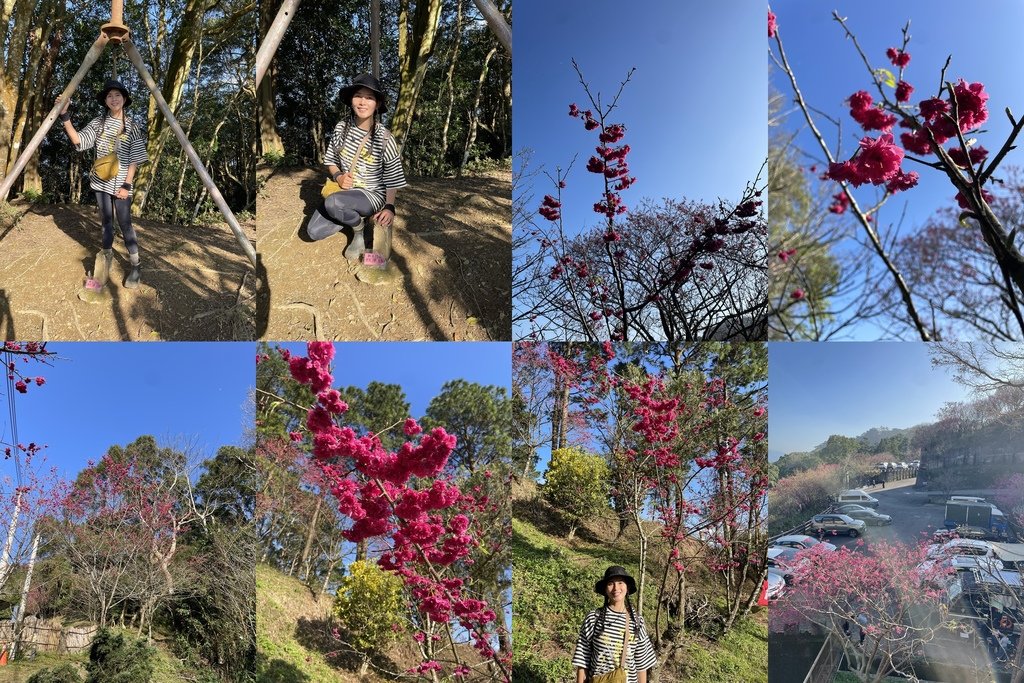 苗栗獅潭｜台灣百大步道｜鳴鳳古道＆獅潭天際線(義民廟-鳴古道