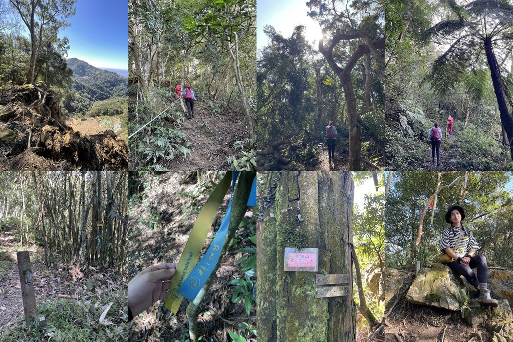 苗栗獅潭｜台灣百大步道｜鳴鳳古道＆獅潭天際線(義民廟-鳴古道