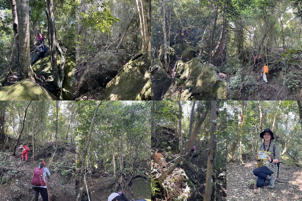 苗栗獅潭｜台灣百大步道｜鳴鳳古道＆獅潭天際線(義民廟-鳴古道