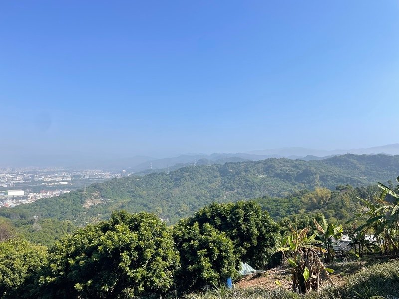 台中｜小百岳集起來-一日三座小百岳｜阿罩霧山-聚興山、新田登