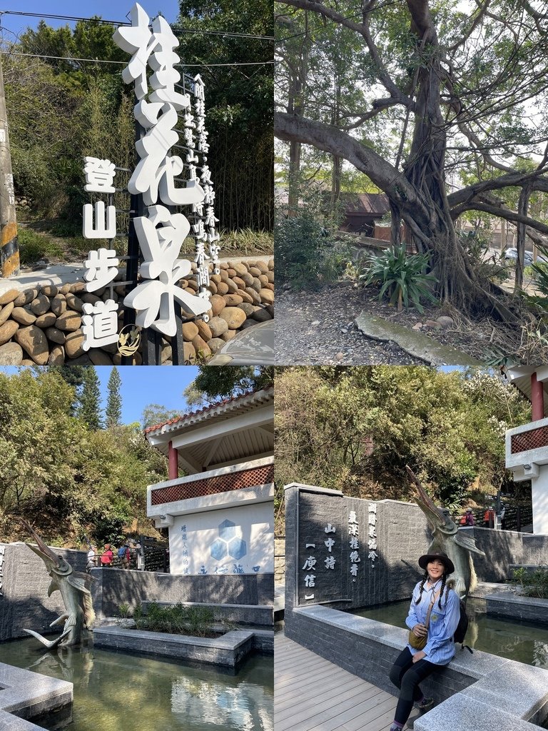 台中｜小百岳集起來-一日三座小百岳｜阿罩霧山-聚興山、新田登