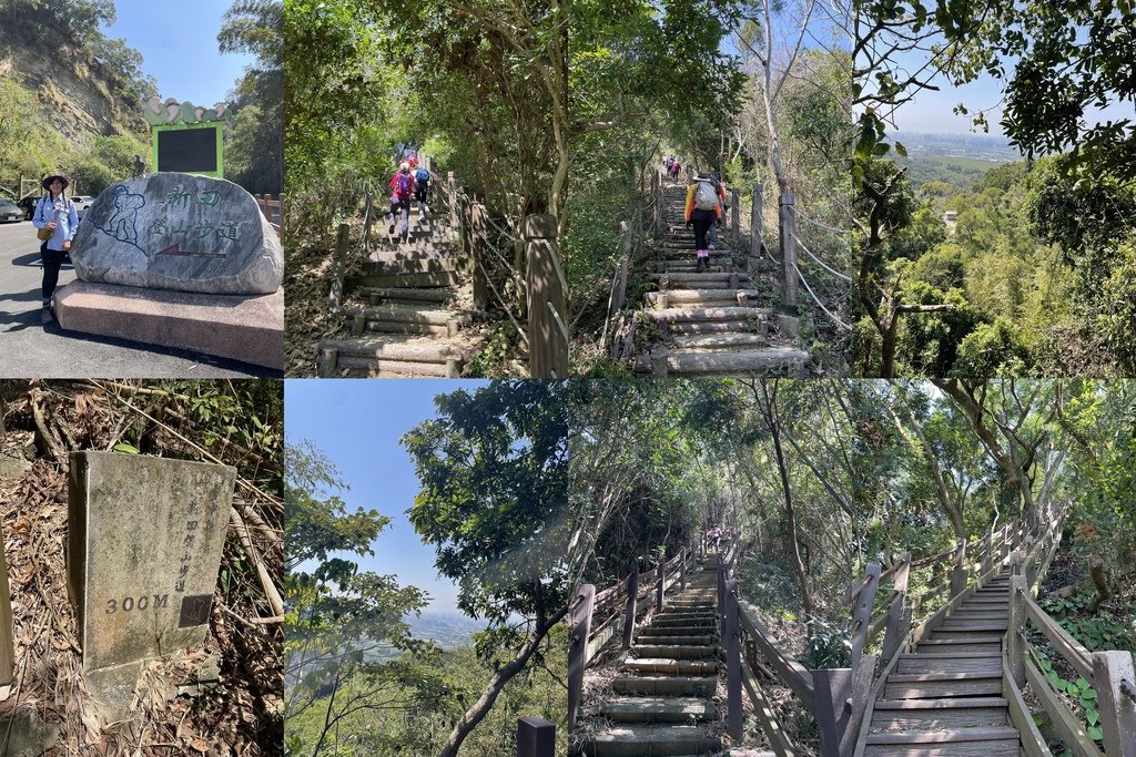 台中｜小百岳集起來-一日三座小百岳｜阿罩霧山-聚興山、新田登
