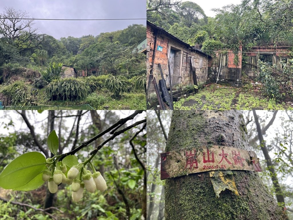 新北石碇｜搭公車去爬山｜石碇大崙O型（石碇大崙古道-崩山大崙
