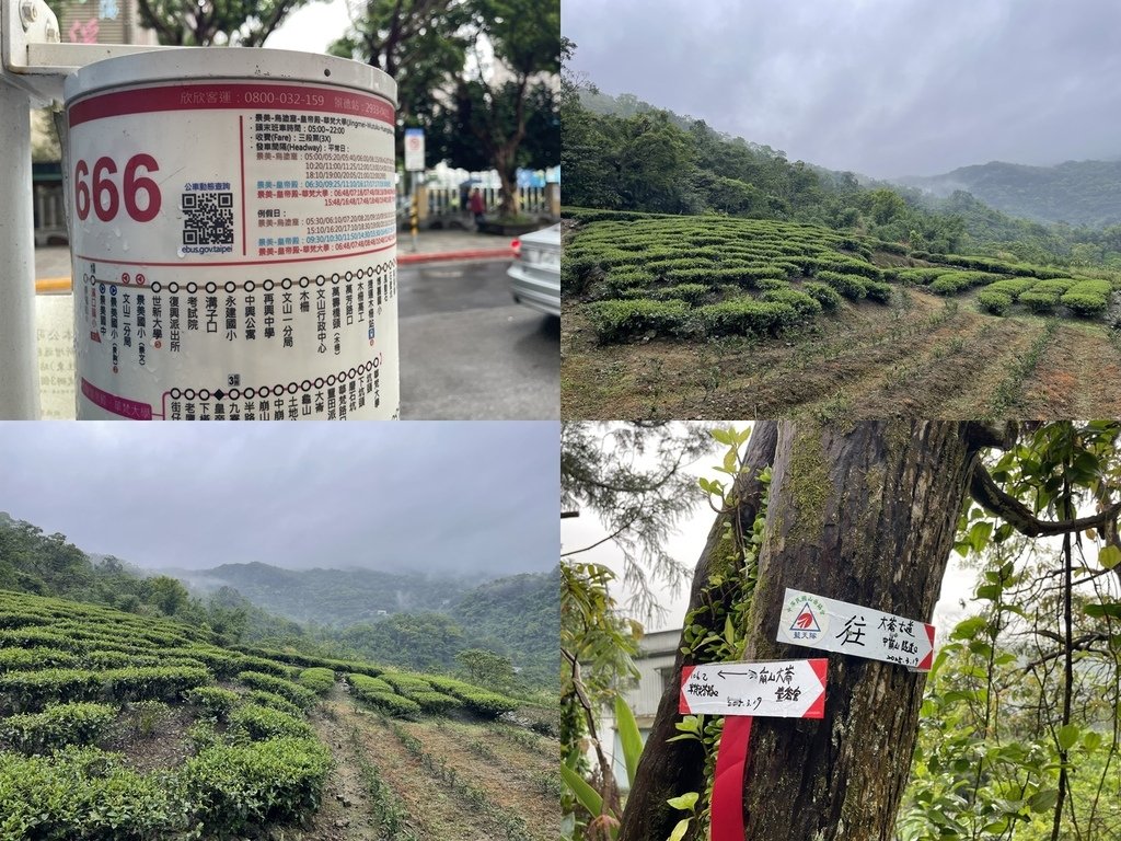 新北石碇｜搭公車去爬山｜石碇大崙O型（石碇大崙古道-崩山大崙