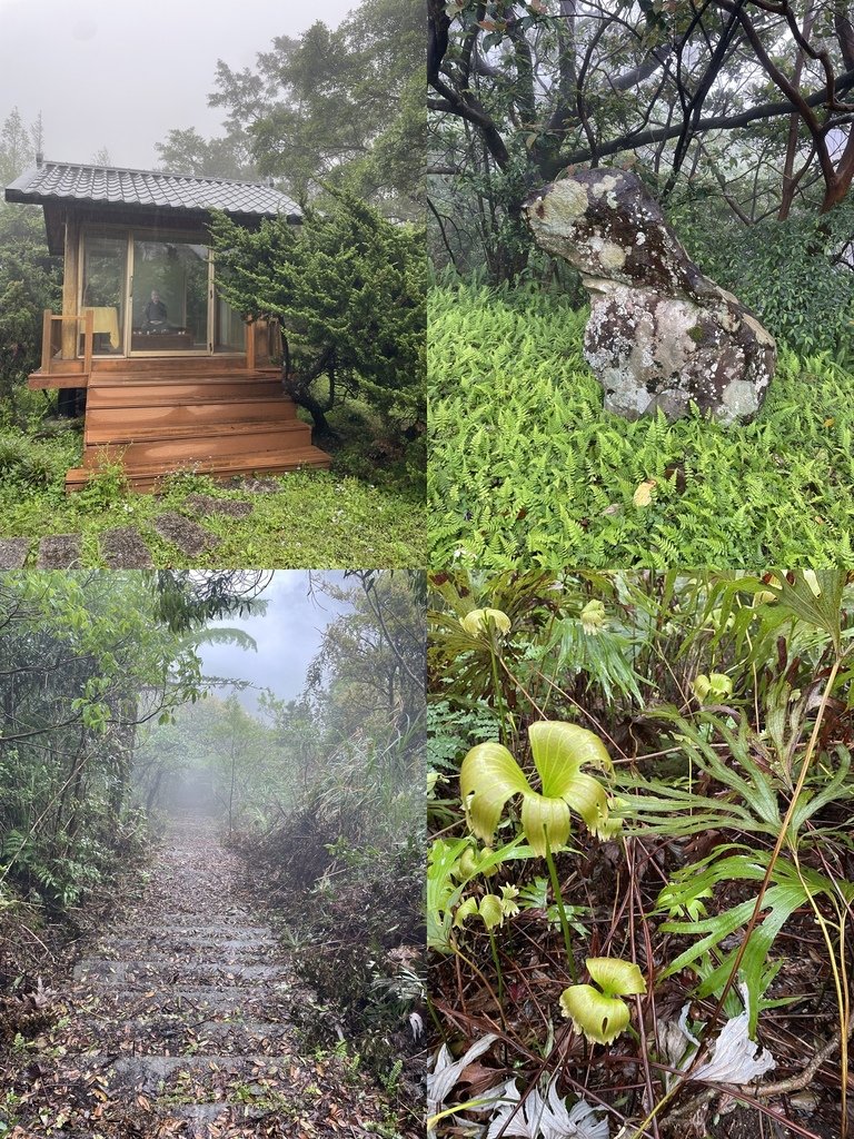 新北石碇｜搭公車去爬山｜石碇大崙O型（石碇大崙古道-崩山大崙