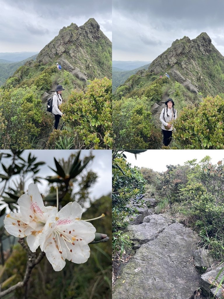 新北瑞芳｜攀岩路線｜郊山之王-劍龍稜初體驗（南新宮-南子吝步
