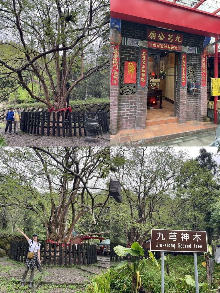 雲林古坑｜小百岳集起來｜荷苞山-嘉南雲峰、石壁山登山步道-九