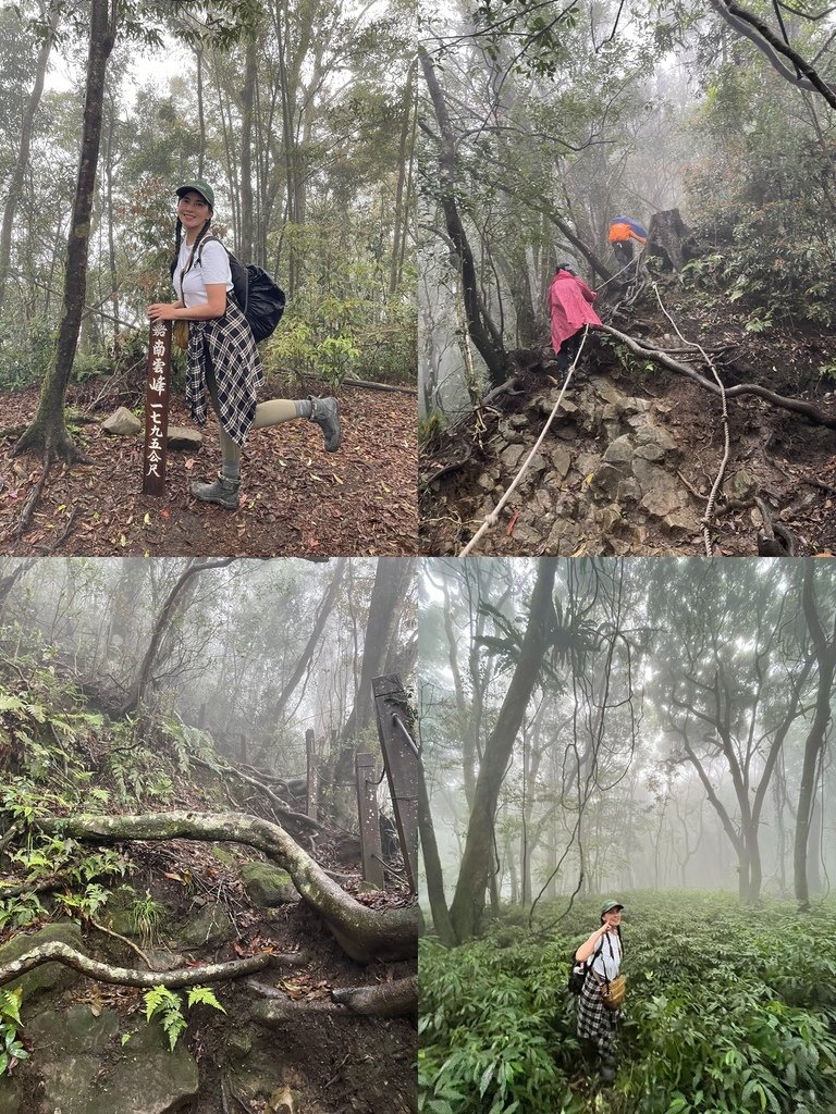 雲林古坑｜小百岳集起來｜荷苞山-嘉南雲峰、石壁山登山步道-九