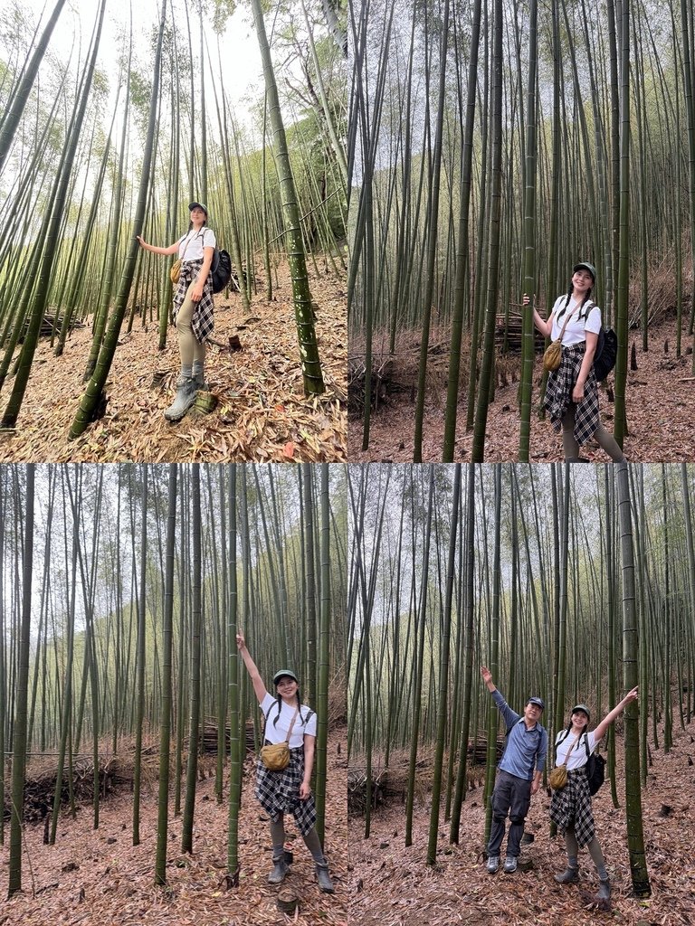 雲林古坑｜小百岳集起來｜荷苞山-嘉南雲峰、石壁山登山步道-九