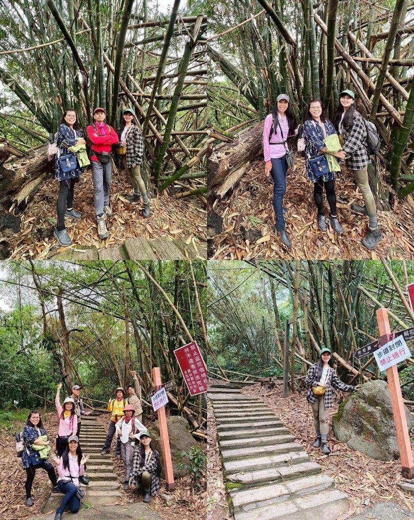 雲林古坑｜小百岳集起來｜荷苞山-嘉南雲峰、石壁山登山步道-九