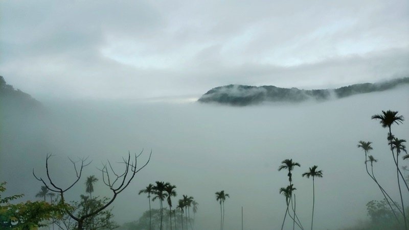 雲林古坑｜小百岳集起來｜荷苞山-嘉南雲峰、石壁山登山步道-九