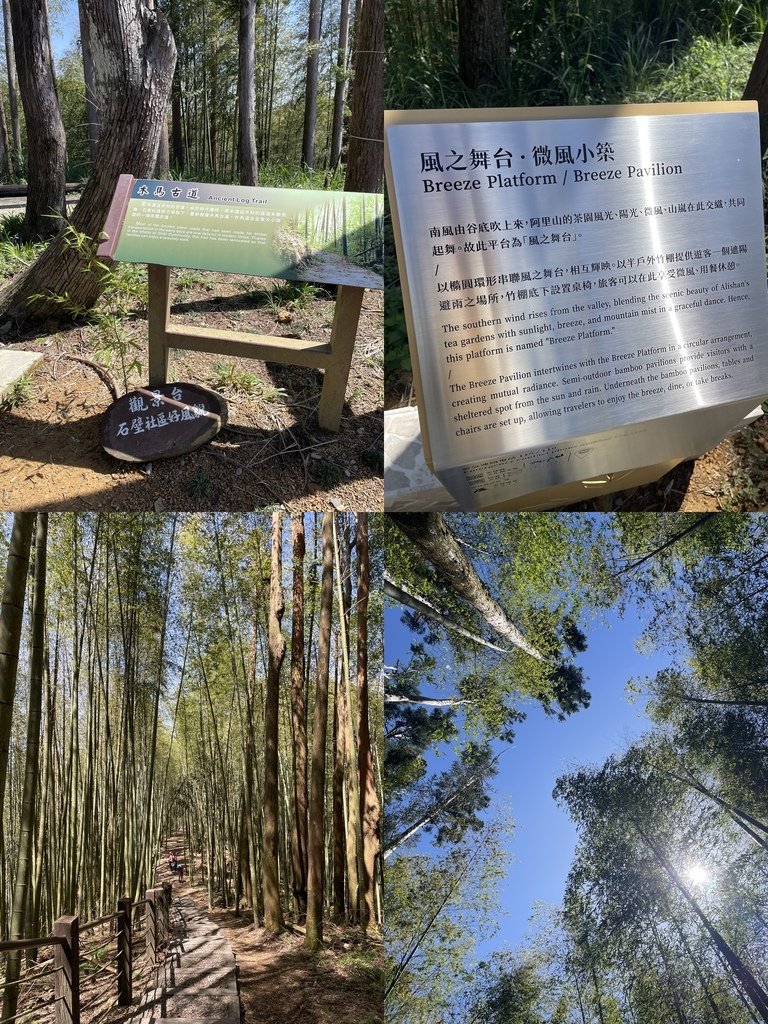 雲林古坑｜健行美拍路線｜古坑石壁-伏虎洞-木馬古道-五元二角