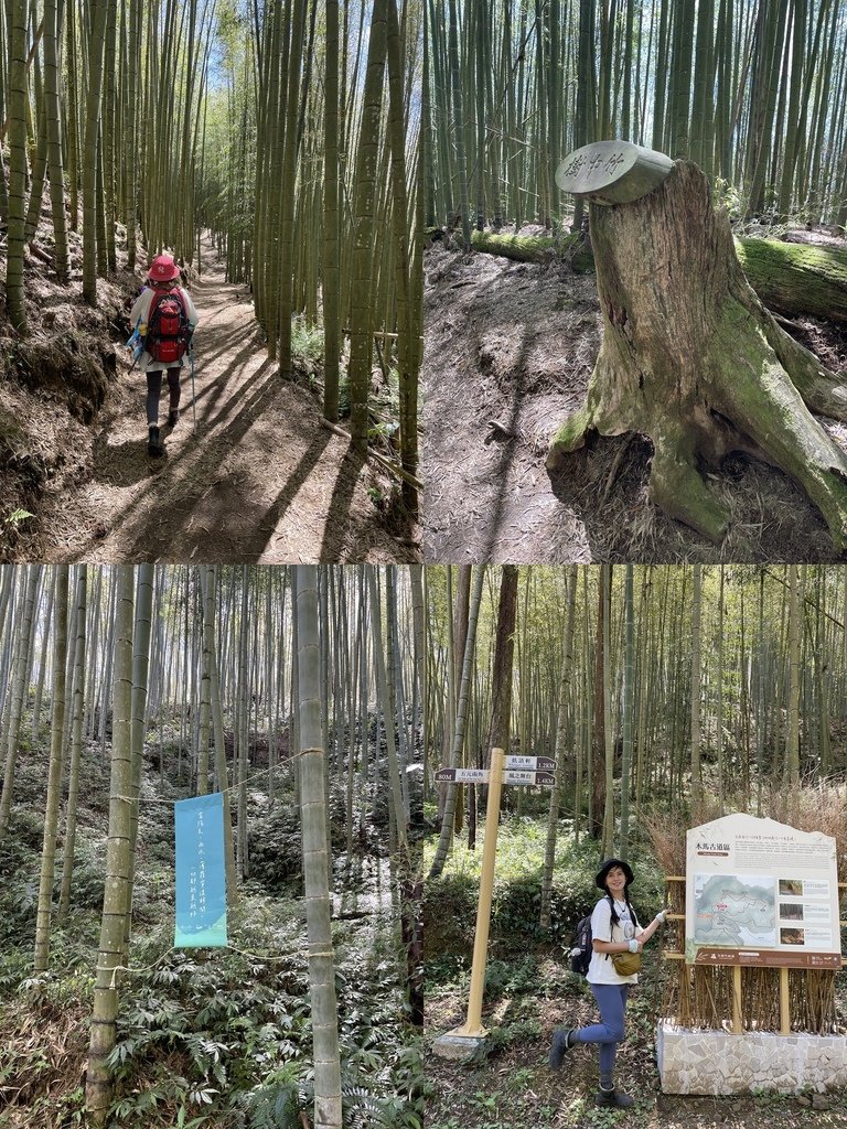 雲林古坑｜健行美拍路線｜古坑石壁-伏虎洞-木馬古道-五元二角
