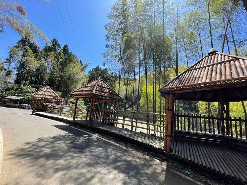 雲林古坑｜健行美拍路線｜古坑石壁-伏虎洞-木馬古道-五元二角