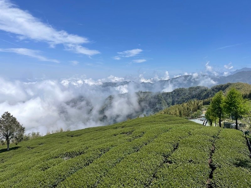 雲林古坑｜健行美拍路線｜古坑石壁-伏虎洞-木馬古道-五元二角