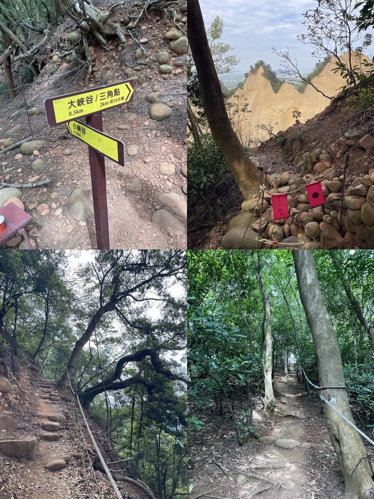 苗栗苑𥚃｜小百岳集起來｜超壯觀的火炎山自然保護區