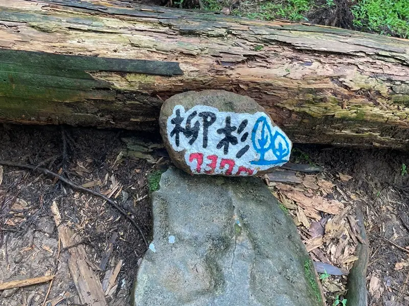 台北士林｜搭公車去爬山｜火燒山之後的小油坑變成怎樣了？（20