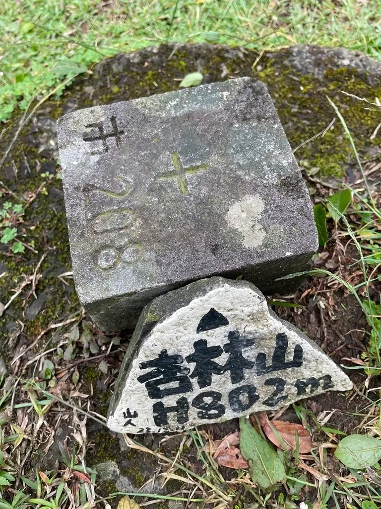 台北士林｜搭公車去爬山｜火燒山之後的小油坑變成怎樣了？（20