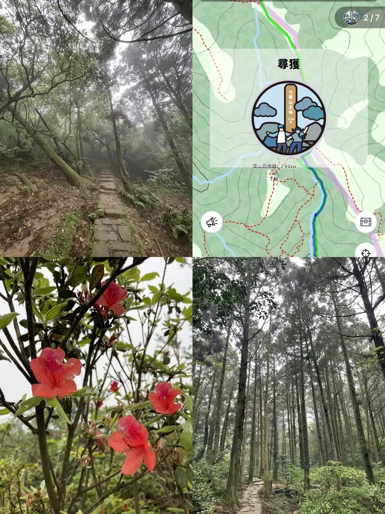 台北士林｜搭公車去爬山｜火燒山之後的小油坑變成怎樣了？（20