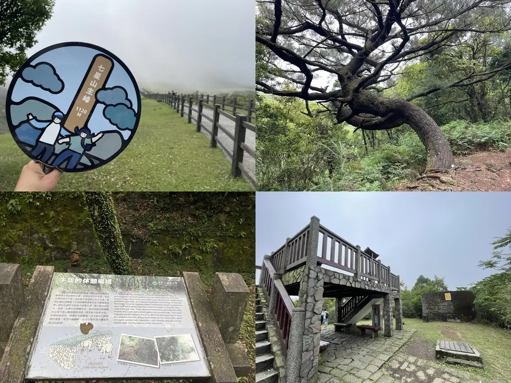 台北士林｜搭公車去爬山｜火燒山之後的小油坑變成怎樣了？（20