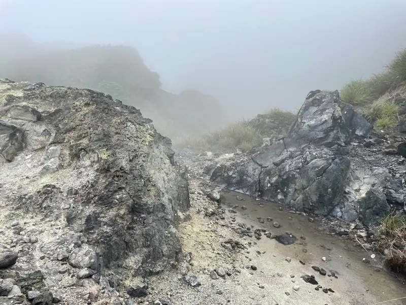 台北士林｜搭公車去爬山｜火燒山之後的小油坑變成怎樣了？（20
