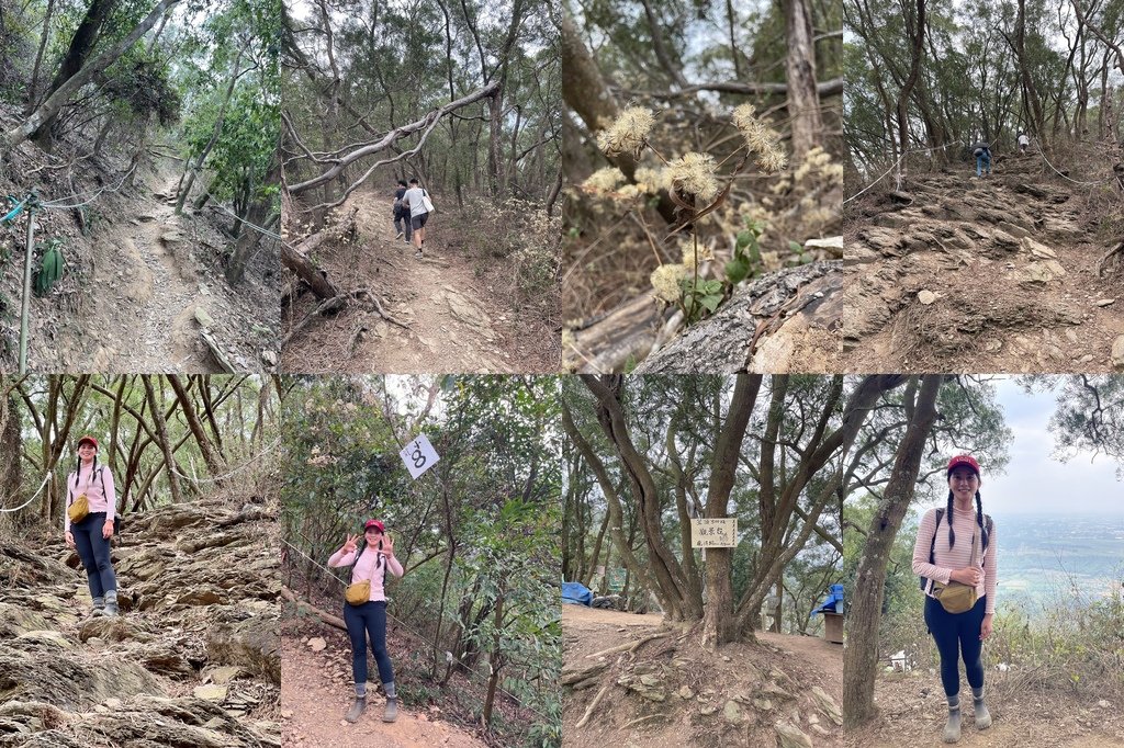 屏東瑪家｜小百岳集起來｜佳義國小-笠頂山步道O型-別有洞天觀