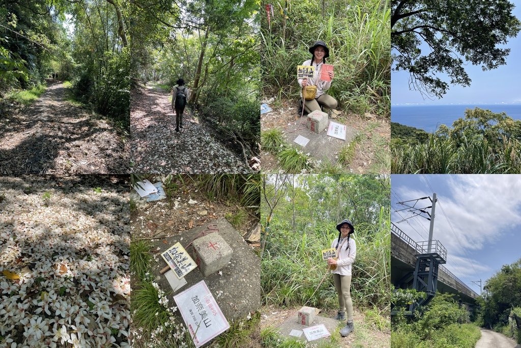 台東｜小百岳集起來｜一日三座小百岳｜眺遠太平洋的巴塱衛山-桐