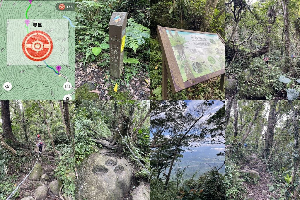 台東花蓮｜小百岳集起來｜臺灣百大必訪步道-台東聖山都蘭山｜花