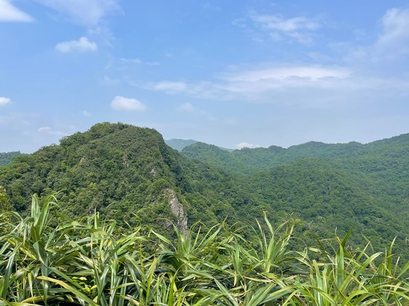 新北瑞芳｜搭火車去爬山｜柴寮古道-獅子嘴奇岩-烏塗窟山-三爪