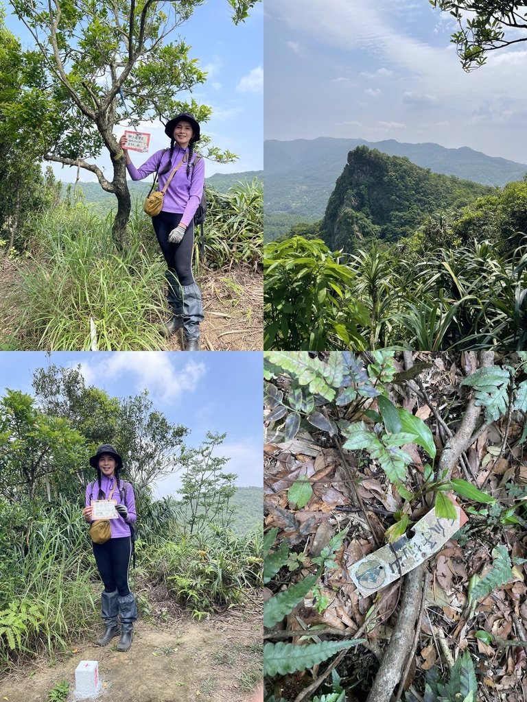 新北瑞芳｜搭火車去爬山｜柴寮古道-獅子嘴奇岩-烏塗窟山-三爪