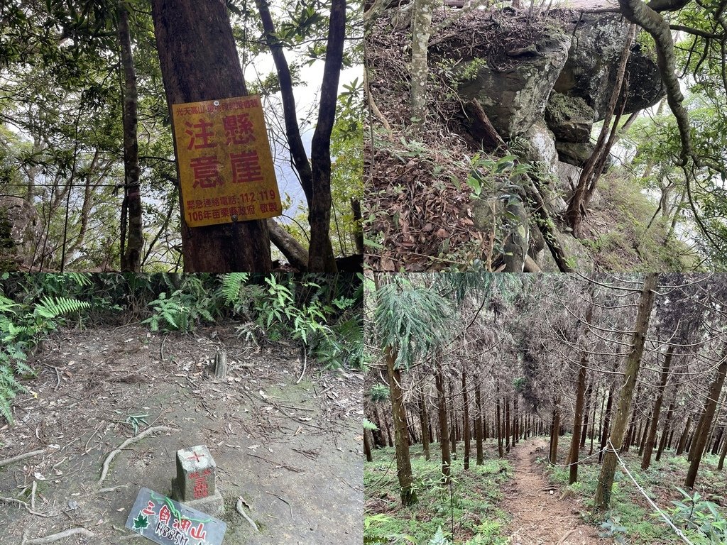苗栗南庄｜半日健行路線｜小百岳集起來-三刷向天湖山後終於去環