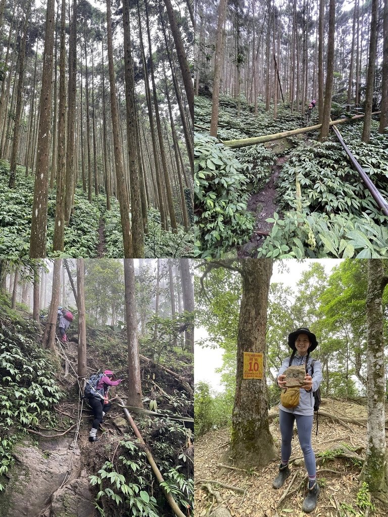 苗栗南庄｜半日健行路線｜小百岳集起來-三刷向天湖山後終於去環