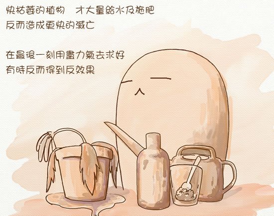 20111110-last.jpg