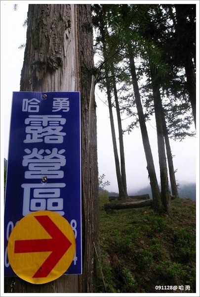 R0018896.JPG