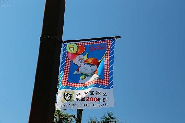 IMG_1734.jpg