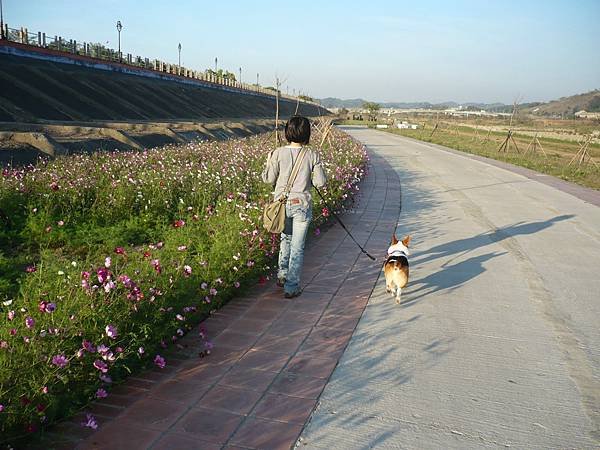 07a-20090213-05苗栗-河濱公園