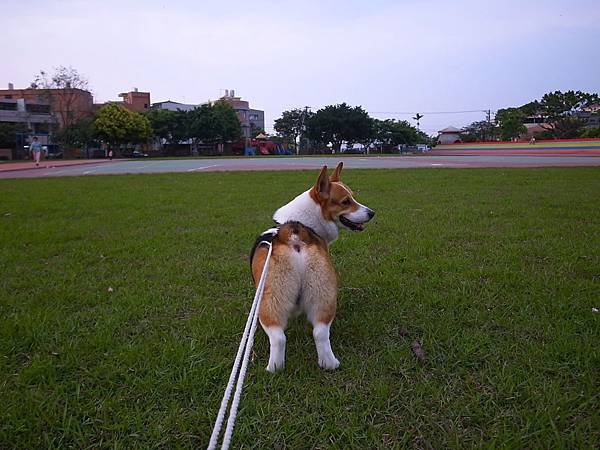 09a-20100331-01公館-仁愛國小