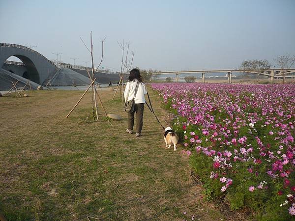 07a-20080311-01苗栗-河濱公園