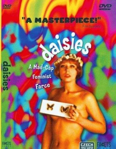 雛菊 Daisies.jpg
