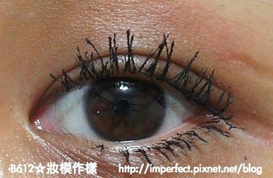 DSC02787.jpg