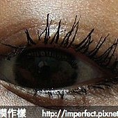 DSC00627.jpg