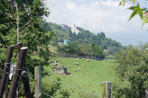 清境嵐山小鎮民宿 (5)