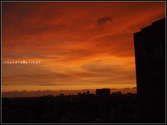 P1010134.jpg