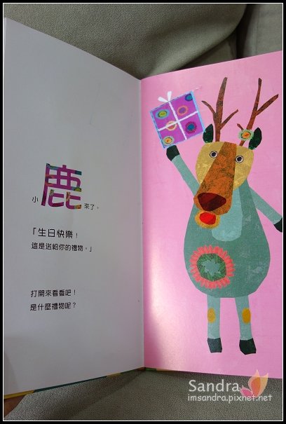 DSC08020
