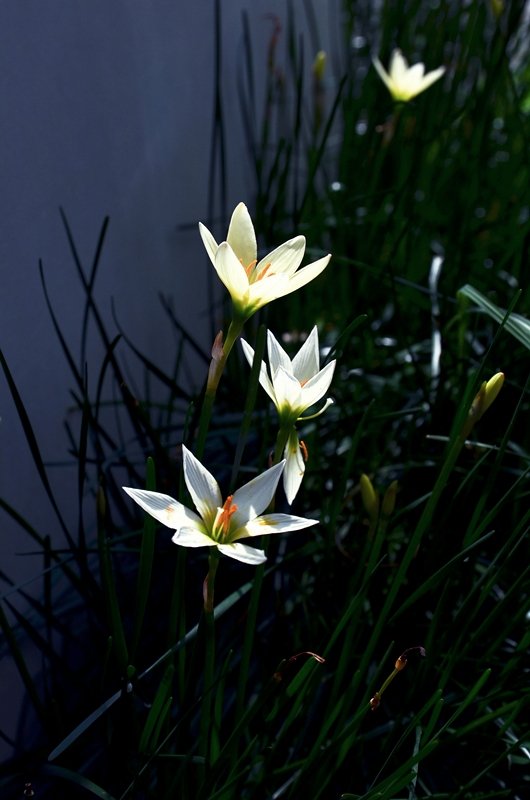 018