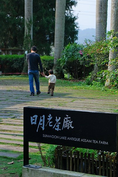 日月茶場 